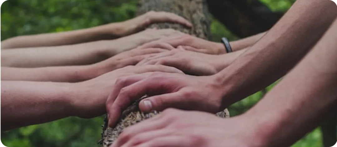 People holding tree log as a sign of harmony with nature