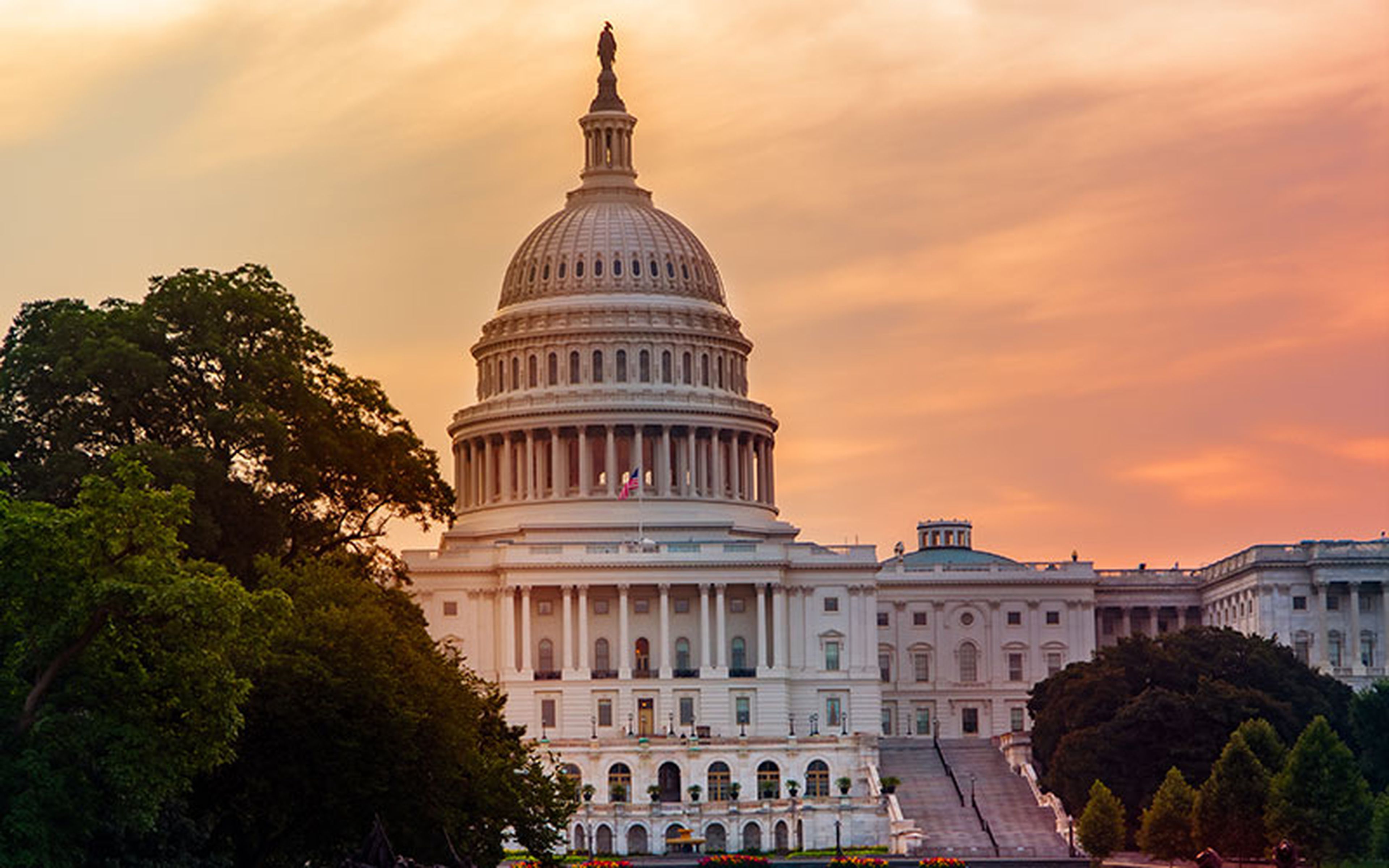 With the pace of AI innovation currently underway in the United States, it is no surprise federal legislators are taking notice of this disruptive technology's current and future implications. From cancer research and drug development to improving efficiency across industries, the potential benefits must be weighed against the threats to jobs and IP rights.